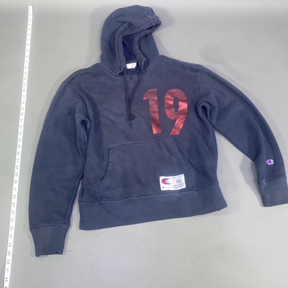 Champion Sweater